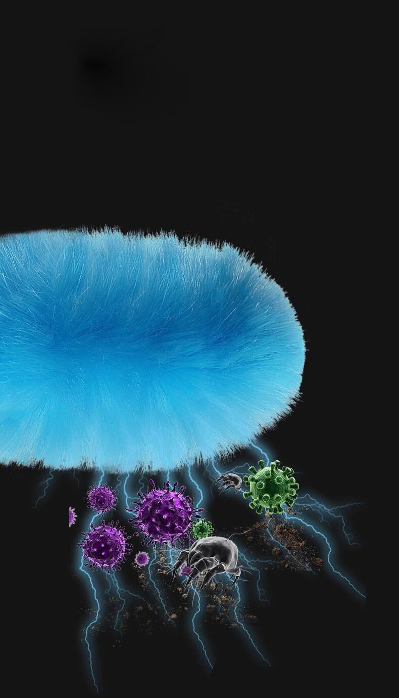 Elektrinis-dulkių-valymo-prietaisas