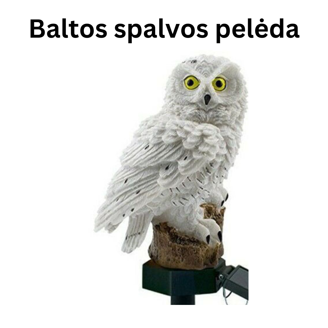 Lauko LED šviestuvas PELĖDA (su saulės baterija)+modernu.lt