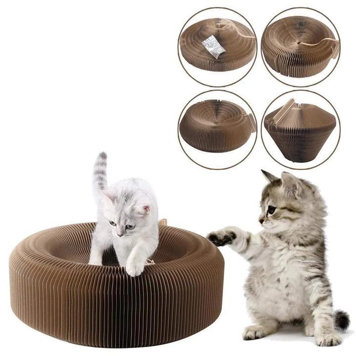 Kačių-draskyklė-guolis