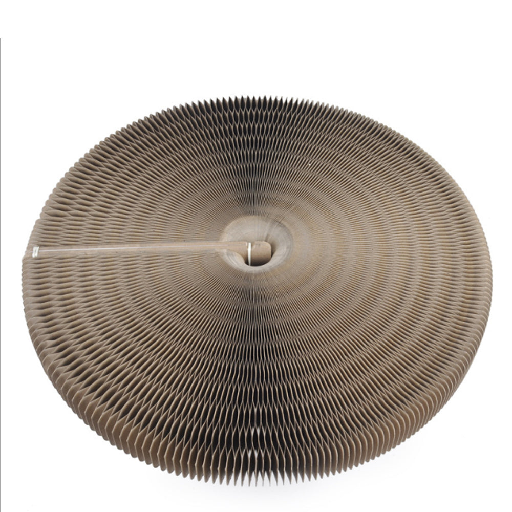 Kačių-draskyklė-guolis