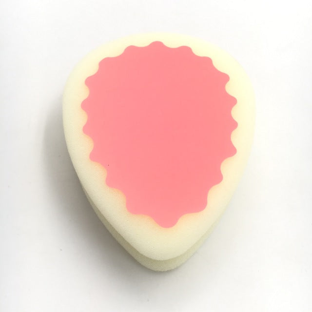 Plaukus-šalinanti-kempinė