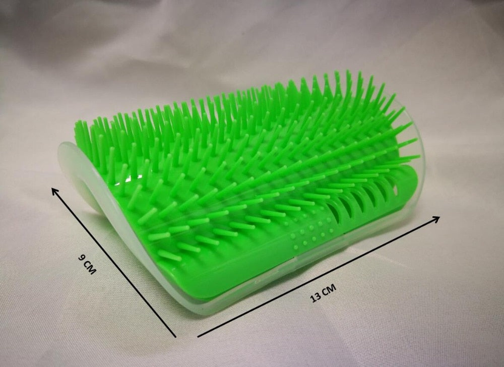 Kampinės-kačių-šukos