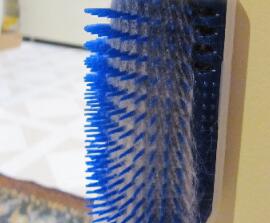 Kampinės-kačių-šukos